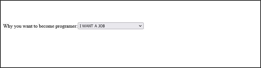 select-tag-selected-in-html